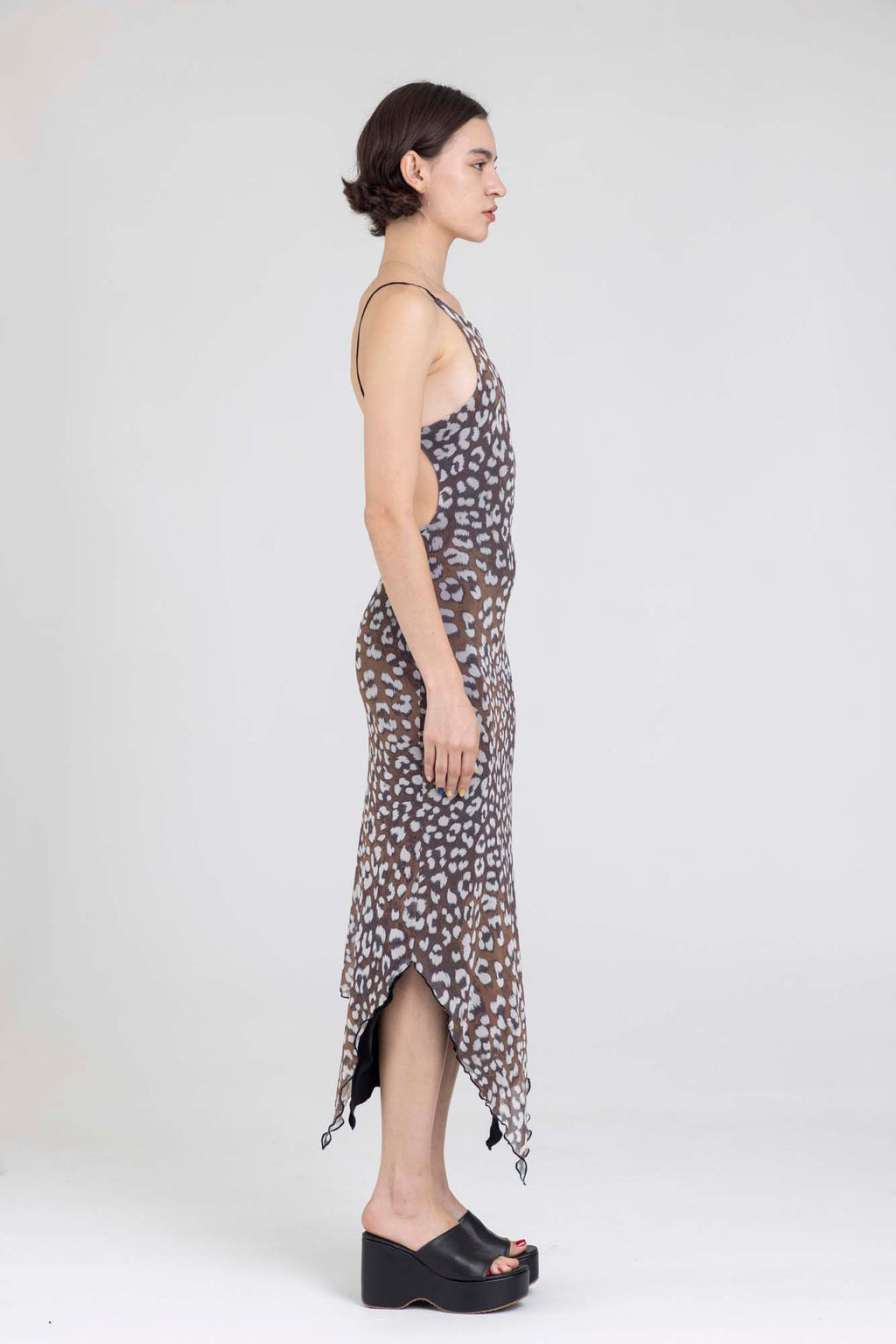 SNELL LEOPARD